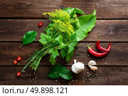 pickling cucumbers ingredients, herbs, spices, top view, rustic style. Стоковое фото, агентство Ingram Publishing / Фотобанк Лори