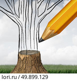 Reforestation and conservation climate as an environmental concept with a pencil drawing the missing part of a cut tree trunk as a symbol for climate change sustainable ecological management with 3D illustration elements. Стоковое фото, агентство Ingram Publishing / Фотобанк Лори