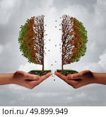 Broken and divided trouble concept as two diverse hands tearing apart a tree resulting in damage and weakness as a business metaphor for harmful disagreement and disunity with 3D illustration elements. Стоковое фото, агентство Ingram Publishing / Фотобанк Лори
