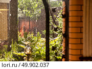 View of a Summer Rain Shower From a House in the Late Afternoon. Стоковое фото, фотограф Aleksandr Golubev / Фотобанк Лори