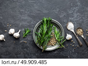 Rosemary, garlic, salt and white pepper, culinary background with various spices, directly above, flat lay, copy space. Стоковое фото, агентство Ingram Publishing / Фотобанк Лори