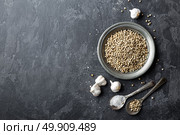 White pepper, garlic and salt on dark grey culinary background, various spices, directly above, flat lay, copy space. Стоковое фото, агентство Ingram Publishing / Фотобанк Лори