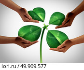 Together creating fortune as a group of diversity hands holding four detached green petals of a lucky clover being attached to a central stem as a saint patrick holiday social gathering or a business cooperation symbol with 3D illustration elements. Стоковое фото, агентство Ingram Publishing / Фотобанк Лори