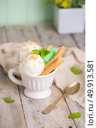 Vanilla and mint ice cream in cup on wooden vintage style background. Стоковое фото, агентство Ingram Publishing / Фотобанк Лори