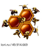 Teamwork project concept as a group of working bees cooperating as a coordinated team constructing a gepometrical honey comb as a business partnership metaphor with 3D illustration elements. Стоковое фото, агентство Ingram Publishing / Фотобанк Лори