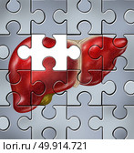 Human liver disease solution as a medical health care concept of the digestive system anatomy and vital organ for digestion functions as detoxification through the healthy gland shaped as a puzzle with 3D illustration elements. Стоковое фото, агентство Ingram Publishing / Фотобанк Лори