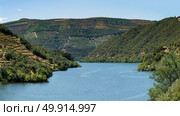Point of view shot from historic train in Douro region, Portugal. Features a wide view of terraced vineyards in Douro Valley, Alto Douro Wine Region in northern Portugal, officially designated by UNESCO as World Heritage Site. Стоковое фото, агентство Ingram Publishing / Фотобанк Лори