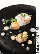 Grilled scallops with truffle ans culiflower sauce. Стоковое фото, агентство Ingram Publishing / Фотобанк Лори