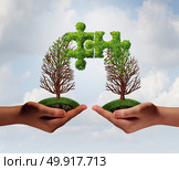 Business puzzle agreement concept as two people connecting together with growing trees merging together shaped as jigsaw pieces integrating with 3D illustration elements. Стоковое фото, агентство Ingram Publishing / Фотобанк Лори