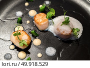 Grilled scallops with truffle ans culiflower sauce. Стоковое фото, агентство Ingram Publishing / Фотобанк Лори