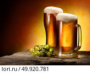 Two glasses of beer and hops on the table. Стоковое фото, агентство Ingram Publishing / Фотобанк Лори