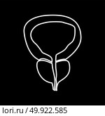 The prostate gland and bladder icon . Стоковая иллюстрация, агентство Ingram Publishing / Фотобанк Лори