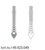 Human spine grey set icon .. Human spinegrey set icon . Стоковая иллюстрация, агентство Ingram Publishing / Фотобанк Лори