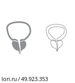 The prostate gland and bladder icon . Стоковая иллюстрация, агентство Ingram Publishing / Фотобанк Лори