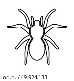 Spider or tarantula black icon . Стоковая иллюстрация, агентство Ingram Publishing / Фотобанк Лори