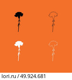 Carnation black and white set icon .. Carnation black and white set  icon . Стоковая иллюстрация, агентство Ingram Publishing / Фотобанк Лори
