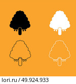 Fruit tree icon . Стоковая иллюстрация, агентство Ingram Publishing / Фотобанк Лори