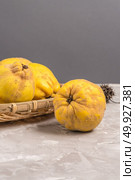 Ripe quince fruits on kitchen countertop. Стоковое фото, агентство Ingram Publishing / Фотобанк Лори