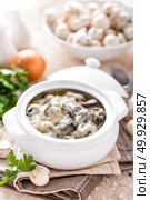 Mushrooms in creamy sauce, julienne. Champignon. Стоковое фото, агентство Ingram Publishing / Фотобанк Лори