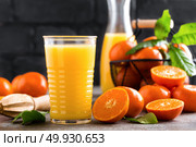 Mandarin orange juice. Refreshing summer drink. Fruit refreshment beverage. Стоковое фото, агентство Ingram Publishing / Фотобанк Лори