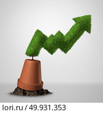 Turning a failing business around and life after bankruptcy and economic recovery financial concept as a renewal finance metaphor with a profit chart tree with 3D illustration elements. Стоковое фото, агентство Ingram Publishing / Фотобанк Лори