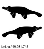 Platypus or duckbill icon black color. Стоковая иллюстрация, агентство Ingram Publishing / Фотобанк Лори