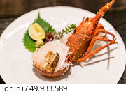 Lobster Sashmi, groumet japanese cuisine. Lobster Sashmi. Стоковое фото, агентство Ingram Publishing / Фотобанк Лори