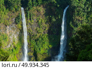 Creek in rainforest. Стоковое фото, агентство Ingram Publishing / Фотобанк Лори
