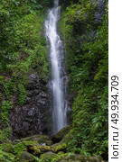 Tropical forest water lake. Стоковое фото, агентство Ingram Publishing / Фотобанк Лори