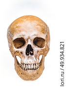 Virtual reality Human skull isolated on white background. Стоковое фото, агентство Ingram Publishing / Фотобанк Лори