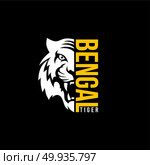 intimidating tiger front view theme logo template. intimidating tiger front view theme logo template vector. Стоковая иллюстрация, агентство Ingram Publishing / Фотобанк Лори