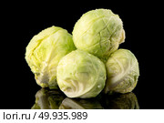 Fresh brussels sprouts. Fresh brussels sprouts isolated on black background. Стоковое фото, агентство Ingram Publishing / Фотобанк Лори