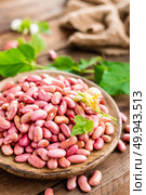Red kidney beans. Haricot bean. Стоковое фото, агентство Ingram Publishing / Фотобанк Лори