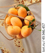 Marian plum or maprang in the basket. Стоковое фото, агентство Ingram Publishing / Фотобанк Лори