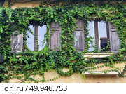 Italian style door, on ivy wall. Стоковое фото, агентство Ingram Publishing / Фотобанк Лори