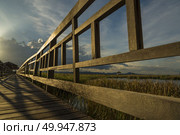 Wooden bridge over a lake in Sam Roi Yod National Park, Prachuap Khiri Khan, Thailand. Стоковое фото, агентство Ingram Publishing / Фотобанк Лори