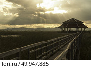 Wooden bridge over a lake in Sam Roi Yod National Park, Prachuap Khiri Khan, Thailand. Стоковое фото, агентство Ingram Publishing / Фотобанк Лори