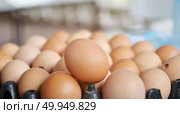 Brown eggs in a Wicker basket. Стоковое фото, агентство Ingram Publishing / Фотобанк Лори