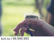 Caterpillar crawling on human hand. Стоковое фото, агентство Ingram Publishing / Фотобанк Лори