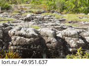 Phu Hin Rong Kla in Thailand, The stone yard. Стоковое фото, агентство Ingram Publishing / Фотобанк Лори