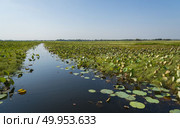 water lake in Thailand. Стоковое фото, агентство Ingram Publishing / Фотобанк Лори