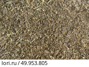 sawdust. Стоковое фото, агентство Ingram Publishing / Фотобанк Лори