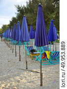 characteristics colorful beach umbrella on Deauville, Normandy France. Стоковое фото, агентство Ingram Publishing / Фотобанк Лори