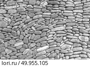 stone wall texture. Стоковое фото, агентство Ingram Publishing / Фотобанк Лори