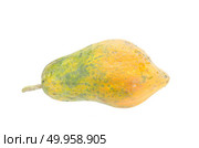 yellow papaya isolated on white with clipping path. Стоковое фото, агентство Ingram Publishing / Фотобанк Лори