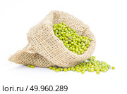 green Beans in sack. Стоковое фото, агентство Ingram Publishing / Фотобанк Лори