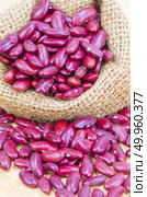 stilllife picture of nuts beans on wooden floor. Стоковое фото, агентство Ingram Publishing / Фотобанк Лори