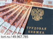 Трудовая книжка и пятитысячные купюры. Стоковое фото, фотограф Евгения Золкина / Фотобанк Лори