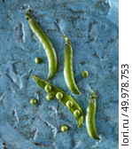 Natural green vegetables- pods of green peas with small spherical seed on a blue with copy space. Detox food concept.. Fresh green peas with pods on a blue ceramic background. Close-up top view. Стоковое фото, агентство Ingram Publishing / Фотобанк Лори