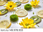 Summer fresh yellow florets with slice of natural fruits. Close-up blossoming pattern with green petals on white background.. Natural organic diagonally floral patter from spring flowers, kiwi and lemon slices. Summer flowers background. Стоковое фото, агентство Ingram Publishing / Фотобанк Лори